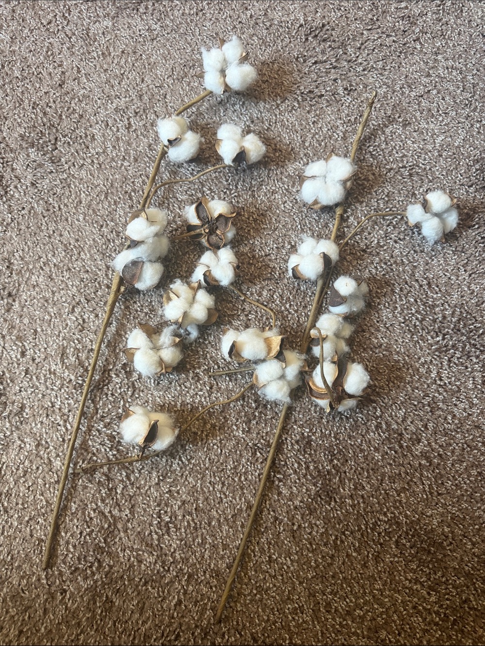 Cotton Sticks/FREE